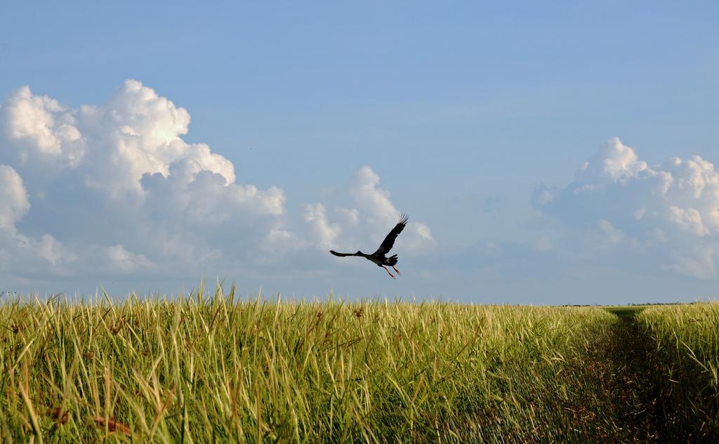 Bamurru Plains Point Stuart Eksteriør bilde