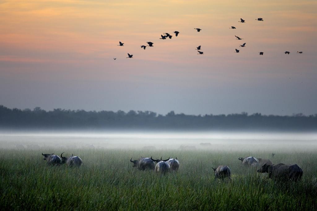 Bamurru Plains Point Stuart Eksteriør bilde